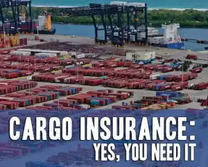Handling cargo shipping and logistics at China Vast Logistics port for streamlined freight management.