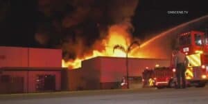 Global logistics schedule reliability trends from 2019 to 2024 showing fluctuations and changing patterns in shipment dependability over recent years.