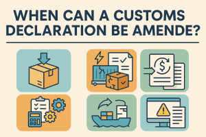 Customs declaration amendment process illustration with cargo, documents, shipping and warning icons